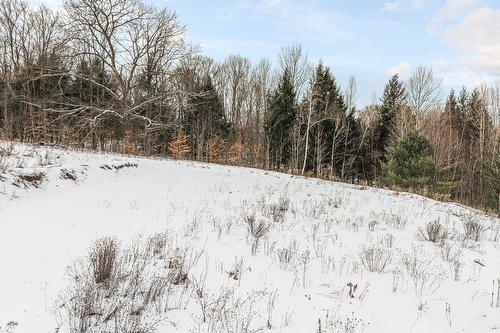 Terre/Terrain - Rue De La Liberté, Frelighsburg, QC 