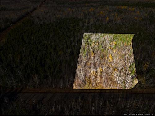 Lot 25-2 Bateman Mill Rd, Shediac River, NB 