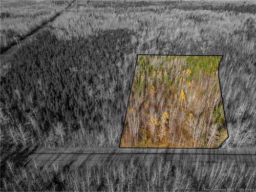 Lot 25-2 Bateman Mill Rd, Shediac River, NB 