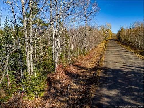 Lot 25-2 Bateman Mill Rd, Shediac River, NB 