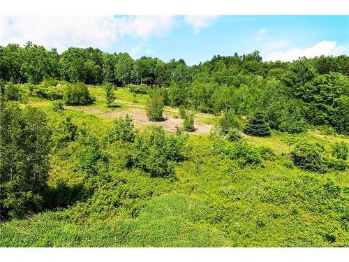 Na Grand Pass Crt, Douglas, NB 