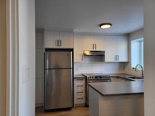 Kitchen - 10-790 Boul. La Fayette, Longueuil (Le Vieux-Longueuil), QC - Indoor Photo Showing Kitchen