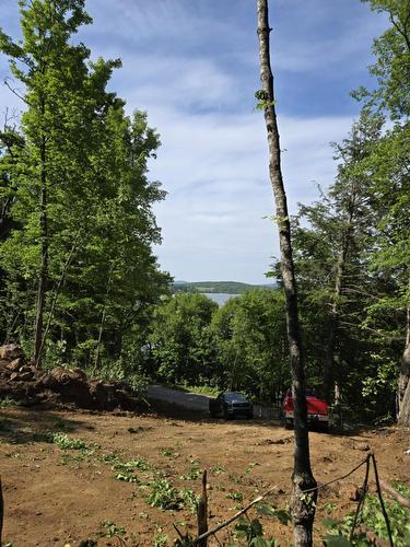 Vue d'ensemble - Ch. Des Courbes, Lac-Saint-Paul, QC 
