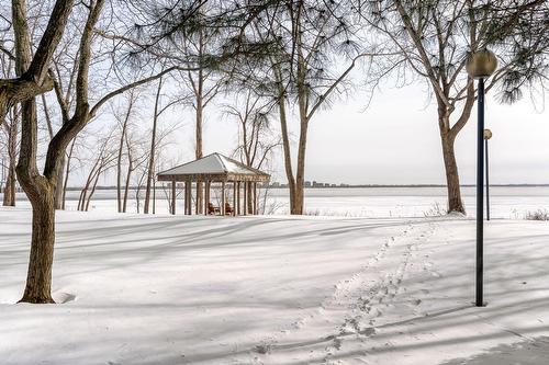 Access to a body of water - 1504-50 Rue Berlioz, Montréal (Verdun/Île-Des-Soeurs), QC - Outdoor With View