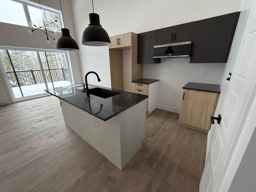 Cuisine - 595 Ch. Des Hauts-Cantons, Stratford, QC - Indoor Photo Showing Kitchen