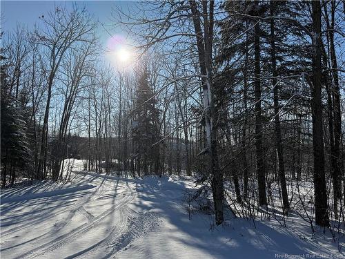 26 Caron Lane, New Denmark, NB 