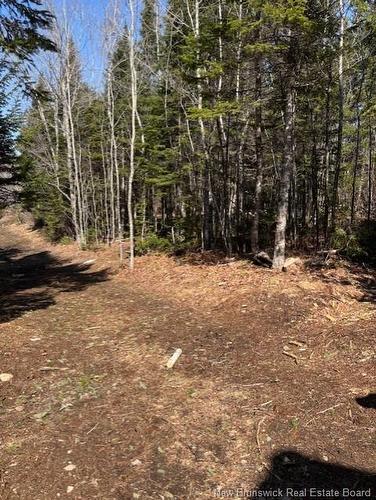 75 Pomeroy Ridge Rd, Pomeroy Ridge, NB 