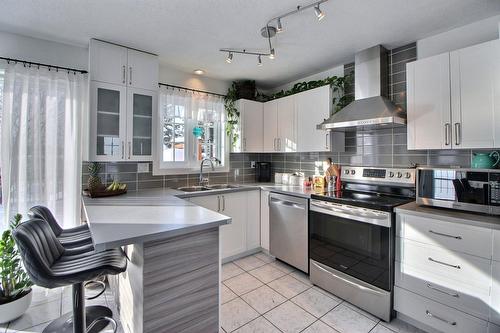 Kitchen - 40 Rue De L'Aqueduc, Saint-Félix-De-Dalquier, QC - Indoor Photo Showing Kitchen With Double Sink