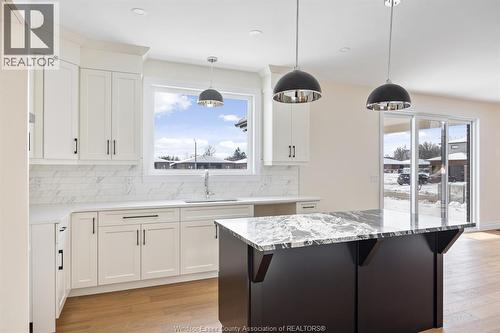 569 Holburn Street, Windsor, ON - Indoor Photo Showing Kitchen With Upgraded Kitchen