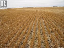 Olsen quarter  Birch Hills Rm No. 460, SK S0K 0G0