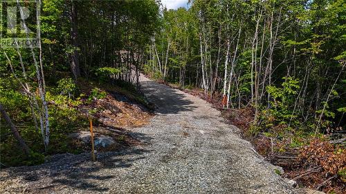 480 Pine Cone Road, Skead, ON 