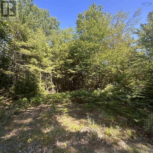 (Pid 70241864) Wellington Road, Buckfield, NS 