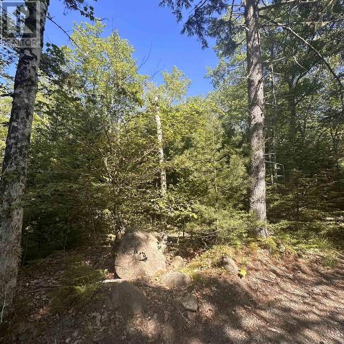 (Pid 70241864) Wellington Road, Buckfield, NS 