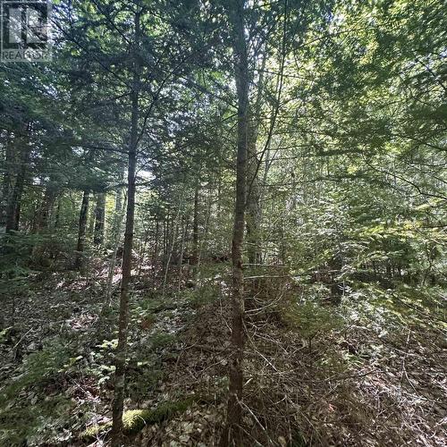 (Pid 70241864) Wellington Road, Buckfield, NS 