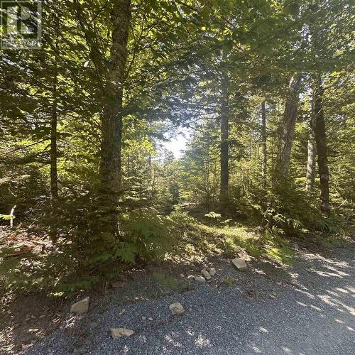 (Pid 70241864) Wellington Road, Buckfield, NS 