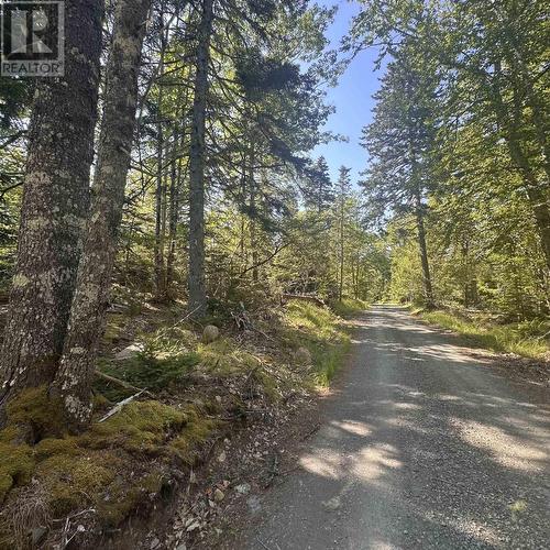 (Pid 70241864) Wellington Road, Buckfield, NS 