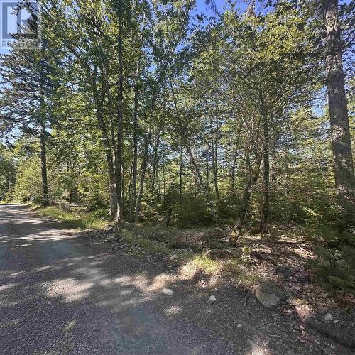 (Pid 70241864) Wellington Road, Buckfield, NS 