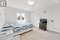 Carpeted bedroom featuring a closet and baseboards - 