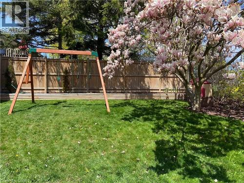 Magnolia tree and swing set - 51 Nathaniel Crescent, Kitchener, ON - Outdoor