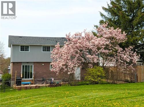 Large backyard with a deck (view from park) - 51 Nathaniel Crescent, Kitchener, ON - Outdoor