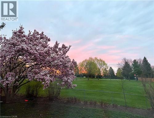 Enjoy the privacy of the park behind - 51 Nathaniel Crescent, Kitchener, ON - Outdoor