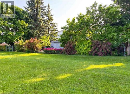 View from the park - 51 Nathaniel Crescent, Kitchener, ON - Outdoor