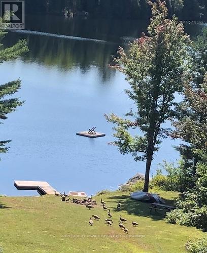 72 Maplewood Road, Hastings Highlands (Bangor Ward), ON - Outdoor With Body Of Water With View