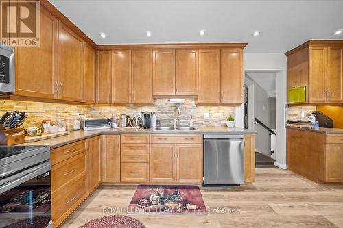 1137 Chimney Hill Way, Ottawa, ON - Indoor Photo Showing Kitchen With Double Sink