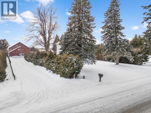 1991 Road 5 East, Ruthven, ON - Outdoor