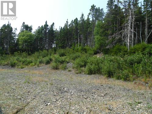 5 Harbour Drive, Hillview, NL - Outdoor