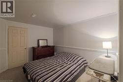 Bonus room in the basement - 