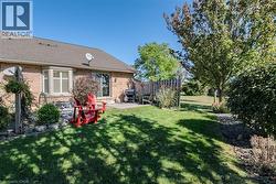 View of the backyard - 