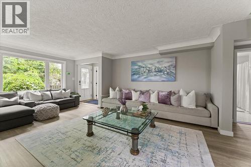 285 Belleperche Place, Windsor, ON - Indoor Photo Showing Living Room