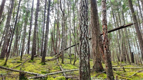 Lt 15 Coats Dr, Gabriola Island, BC 
