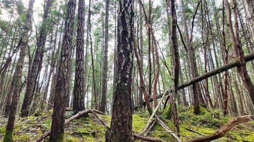 Lt 15 Coats Dr, Gabriola Island, BC 