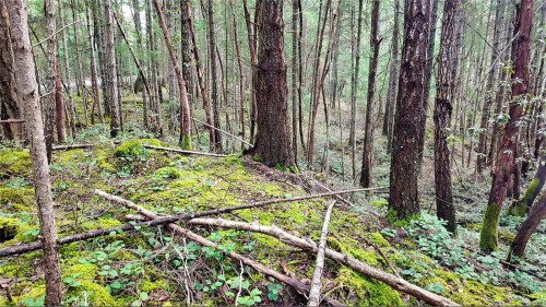 Lt 15 Coats Dr, Gabriola Island, BC 