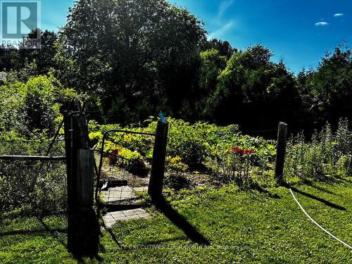 46 Paget Street, Sundridge, ON - Outdoor