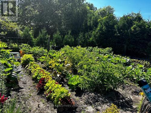 46 Paget Street, Sundridge, ON - Outdoor