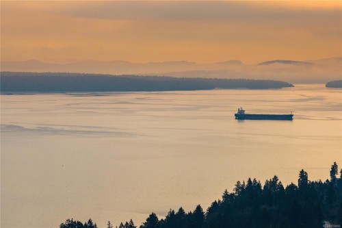 439 Thetis Dr, Ladysmith, BC 