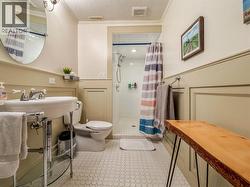 Large double shower in basement bathroom - 