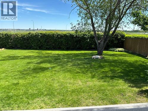 Owners photo of backyard in the summer - 90 Chippewa Crescent W, Lethbridge, AB - Outdoor