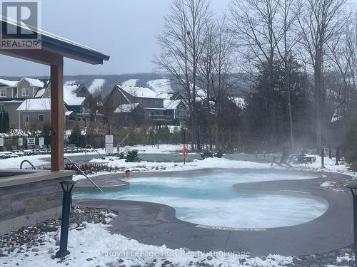 130 Courtland Street, Blue Mountains, ON - Outdoor With In Ground Pool With View