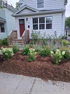 What's currently under the snow - 