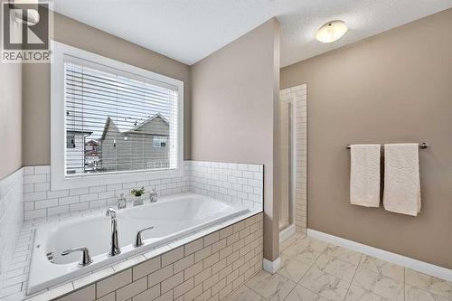 93 Silverado Bank Circle Sw, Calgary, AB - Indoor Photo Showing Bathroom