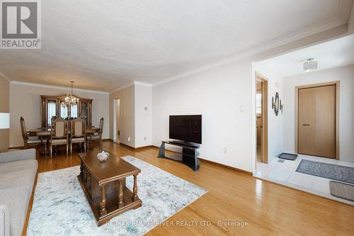 224 Fairglen Avenue, Toronto, ON - Indoor Photo Showing Living Room