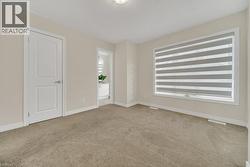Empty room featuring light carpet and healthy amount of natural light - 