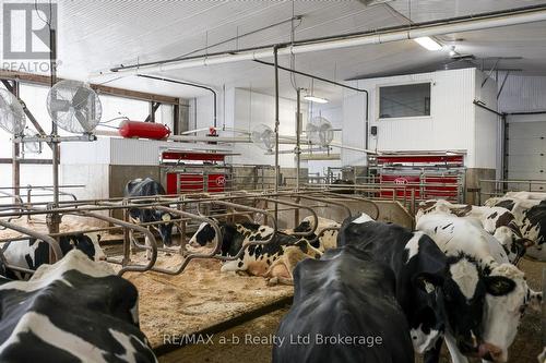 1011 Bornish Drive, North Middlesex, ON 