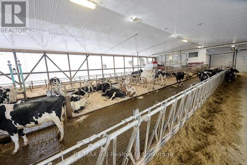 1011 Bornish Drive, North Middlesex, ON 