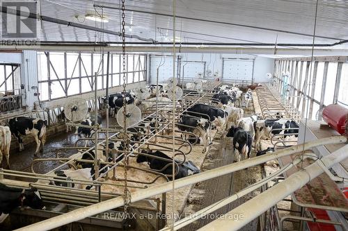 1011 Bornish Drive, North Middlesex, ON 