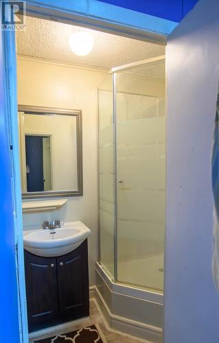 301 Tamarack Drive, Labrador City, NL - Indoor Photo Showing Bathroom